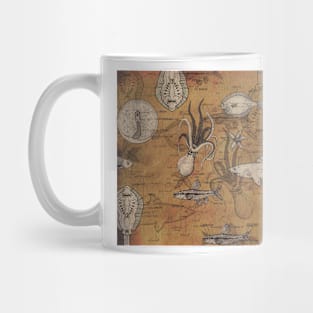 Sea Life Illustrated Diagram Mug